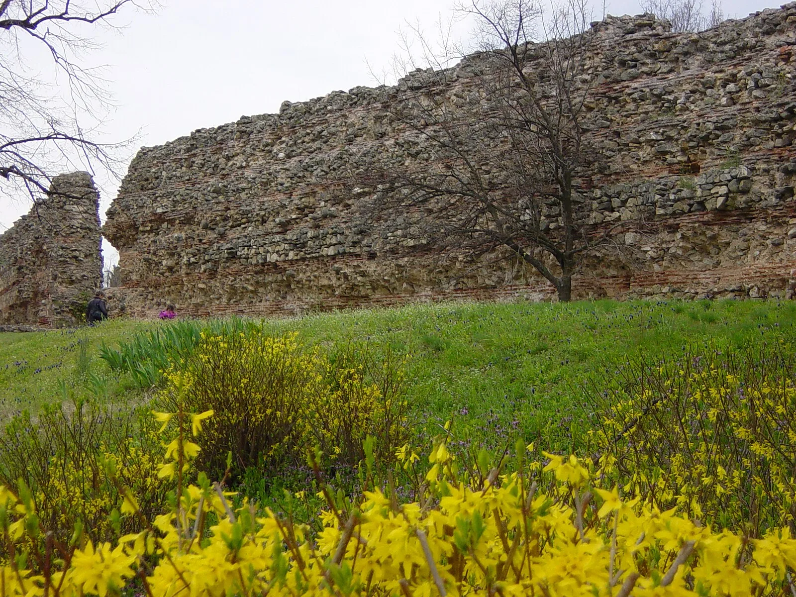 Diocletianopolis, Thrace